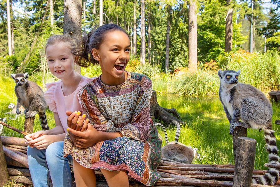 Twee meisjes met ringstaartmaki's in de zoo