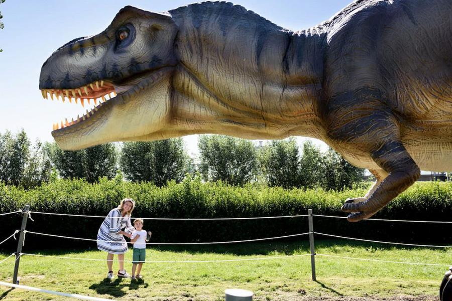 Dino experience dinopark