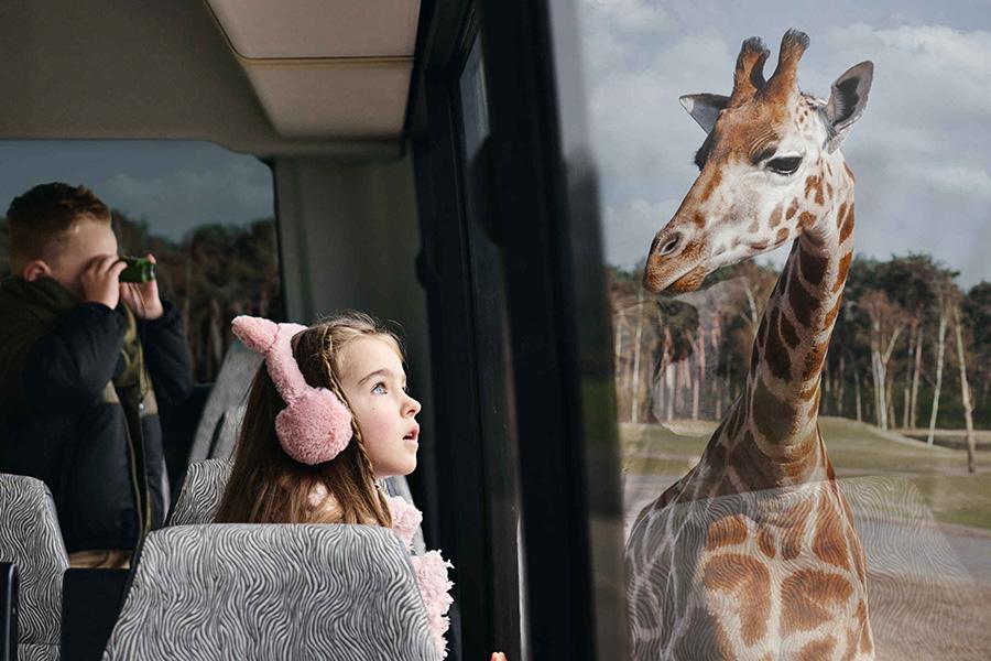 Safaripark Beekse Bergen ticket(s)