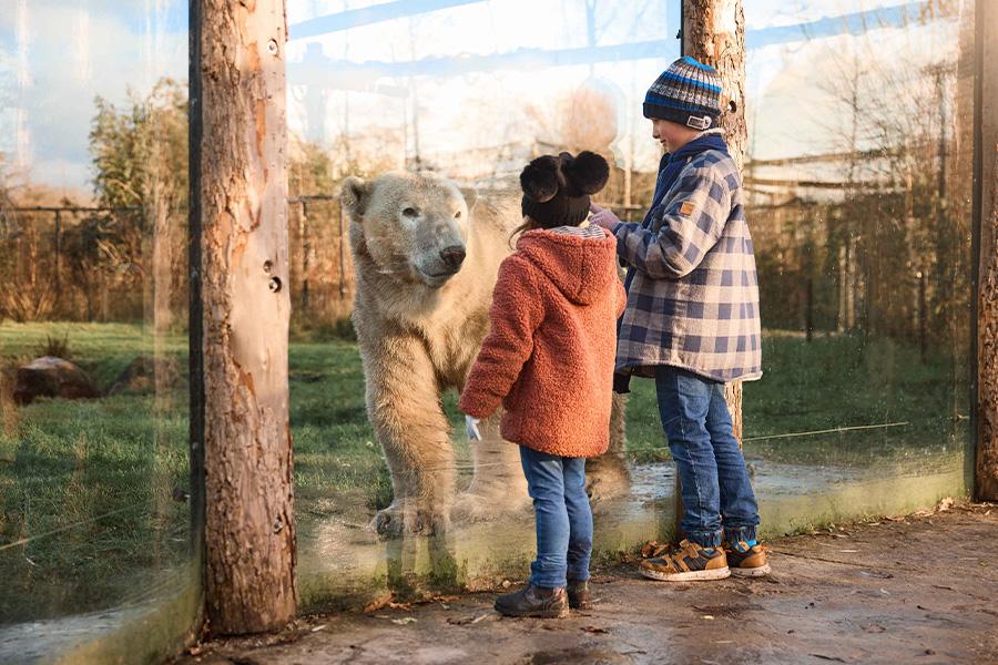 AquaZoo Leeuwarden ticket(s)